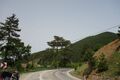 phoca thumb l turquie0024
